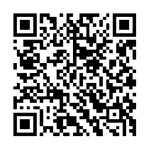 留在飞鸿关的这些将士在墨修尧的眼中就是注定要牺牲的一群二维码生成