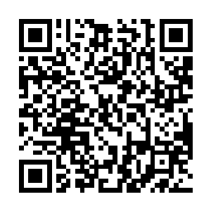 留守的家族修士还会受到四大超级家族和天璇盟的打击二维码生成