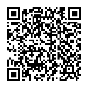 留守龙息的这些人根本就不是他的对手――要是刚才一刀把他解决了就好了二维码生成