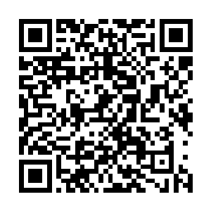留给众人一个伟大的背影就此与柳飞燕等人离开了校内武馆二维码生成