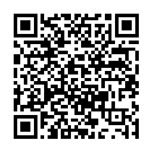 略显冰寒的气氛令绿衣和银衣的脊背都微微的僵硬了二维码生成