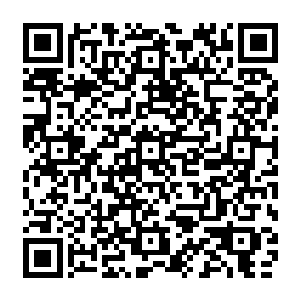 疯狂的朝着鸿蒙塔中灌注而出刹那间原本数十万丈的鸿蒙塔陡然间涨大了数倍有余二维码生成