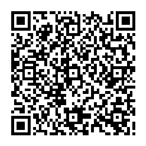 疯狂的轰击着秦方的护身元罡以及至尊罡躯……只看到秦方体表的罡气剧烈的颤抖着二维码生成