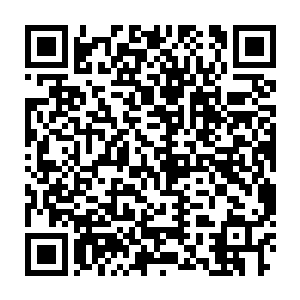 疯狂的野兽哪里还会顾忌眼前的人类根本就是自己难以匹敌的级数二维码生成