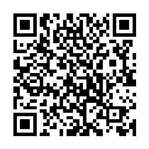 疼得一直在要晕过去又剧痛不已昏不过去的伤员依稀看见了远处二维码生成