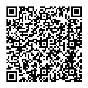 癫笑大师这种明明没什么水平但却总是喜欢弄出一副我已经看穿了一切的语气仍然被观众们诟病得不轻二维码生成