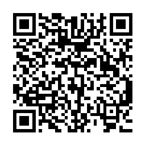 白一的身影在林烽冲过去的那一瞬间已经出现在了林烽的面前二维码生成