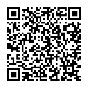 白兄在前一段时日横跨试炼之路一个人镇压一条试炼之路的无上天骄二维码生成