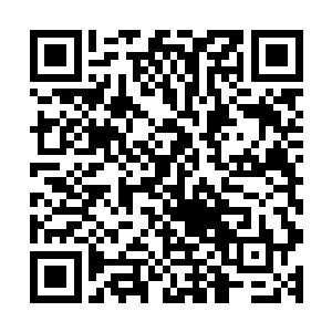 白兰一定会给他一个让他无论如何也不能接受的死法来报复他二维码生成