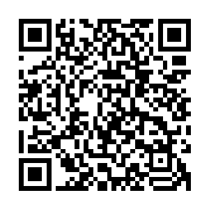 白兰先生说他有台不用的电脑可以借我用……妮娜你能带我去么二维码生成