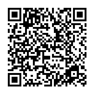 白兰就着这样半靠半躺的姿势一目十行的翻完了手里这份没几页的报告二维码生成