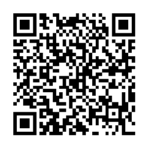 白兰的唇角原本柔和的弧度瞬间加深到一个不怀好意的角度二维码生成