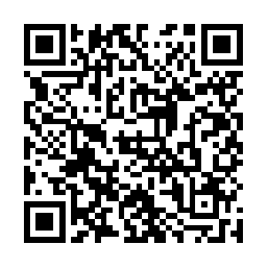 白兰走上前拿起了那张被妮娜折腾的有了褶皱的宣传单二维码生成
