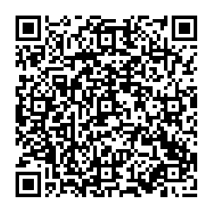 白兰跟黑龙这一黑一白的谈话自然也就到此为止了――虽然他们从一开始就没说过什么有实际意义的话题二维码生成