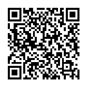 白城上不时传来的惨叫声和人体从城墙上跌落地面的撞击声二维码生成