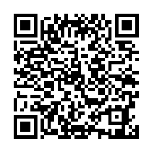 白小飞不知何时在鞋子底上绑上了母体树扔下的两根枝条二维码生成