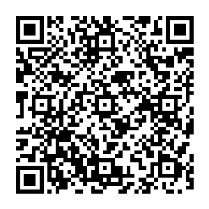 白小飞和小薇会再度复活--他们两人可是在核爆炸中穿越到异世界都活下来的幸运儿啊二维码生成