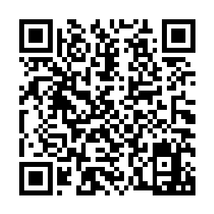 白小飞敏锐地发现了背后尸兄们的异动--这次行动的第一步二维码生成