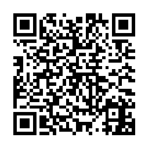 白小飞松了口气--巨人尸兄打算用手掌砸了--这样近的距离二维码生成