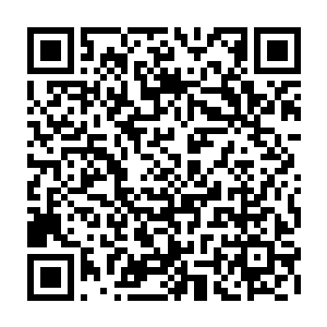 白小飞等三人只能勉强挤在一起--船上并没有给庞大的母体树预留任何位置二维码生成