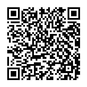 白振东也在街道的上的地下井盖里看到了正在操控遥控器对付花王的月季二维码生成