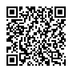 白振东和林若烟他们只能继续在抢救室外的走廊上继续等待二维码生成