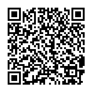 白武生带着一只巨大的猛犸尸兄以及一大群尸兄挡住了他们的去路二维码生成