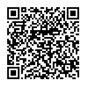 白皙细致的皮肤跟那一袭雪白不带任何装饰的长袍将他衬托得宛若神王一般二维码生成