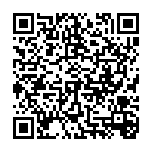 白老鬼二人只觉得一股比体内的寒气更加暴虐无数倍的阴冷寒气从手中传来二维码生成