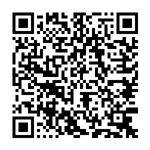 白芷蔷暗自在心里打算这一次自己一定要好好的教训教训这个白芷璃二维码生成