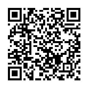 白虎砚台里的白虎幻象在我舒展开左手后即刻脱离白虎砚台二维码生成