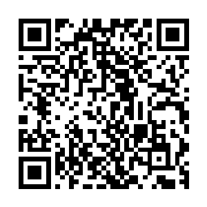 白衣男子猩红冰冷的双眸是他们在这个世上看到的最后的一幕二维码生成