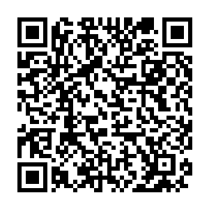 白衣青年还想说点什么墨梓熏拉着雪如楼和流墨墨已经消失在他视线里二维码生成