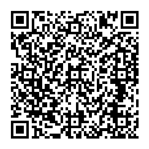 白鹿商行在外观上很好的表现出了由魂窟宗支持起来的豪气――看上去只用一个字就足以形容二维码生成