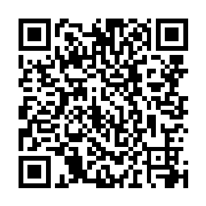 百分之二十五的几率跨入大宗师级……基本上服用孕灵丹的二维码生成