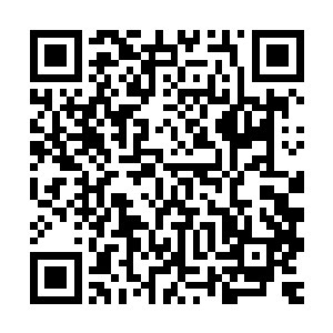 百合子在北海道神宫的发言权绝对比不上变成了樱花模样的秦紫二维码生成