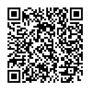 百官在无一人敢对这高高在上的皇位上坐着的正德皇帝有丝毫的轻视了二维码生成