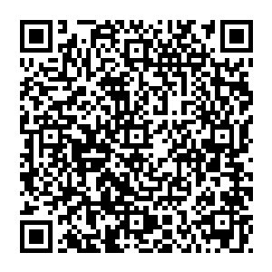 百年前我曾经去过一回龙蛇潭在外潭的时候曾结识了一位龙蛇潭的弟子他正好是看守那传送阵的是他和我说的二维码生成