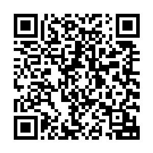 百思不得其解的叶笑又再将注意力聚焦到了那行小字的后半段二维码生成