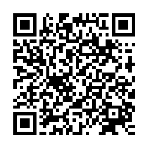 百鸟来朝……这……的确是完全掌握了凌天箫谱才能做到的……二维码生成