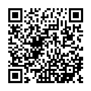 的一声将带着火星的符咒狠狠按在了二朋后背的菊花图案上二维码生成