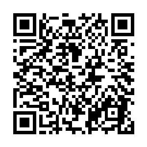 的上映规模就会受到压制了它非但没有收到丝毫的压制二维码生成