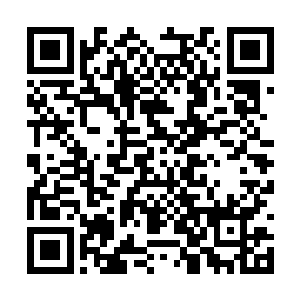 的出色表演又颠覆了雨果在所有人心里的刻板印象二维码生成