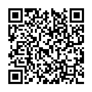 的刀气和身影之后最真实的信息是必须用心去感受二维码生成