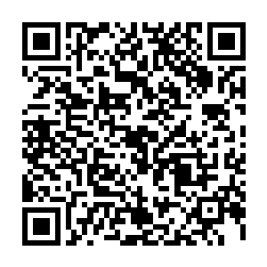的午夜场排片场次并不是多――因为这种类型的电影午夜场数据都不会太好看二维码生成
