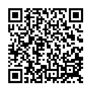 的向白兰转达了妮娜勒令他一天内把客厅恢复成原样的意思二维码生成