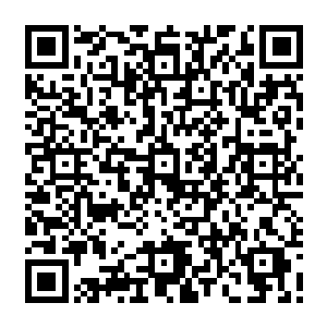 的声音就会去下意识的寻找声源一般－－－－－－－所以林德便多看了那两匹马两眼二维码生成