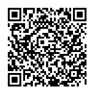 的外貌和名字逐一分辨出来的人……就算你把两只同品种的刺猬放到他面前二维码生成