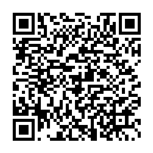 的导演是不久之前在奥斯卡上和雨果展开了激烈竞争的汤米一李一琼斯二维码生成