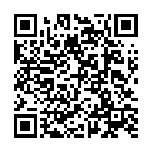 的攻击下不过坚持了十几秒的时间便彻底变成了粉末二维码生成